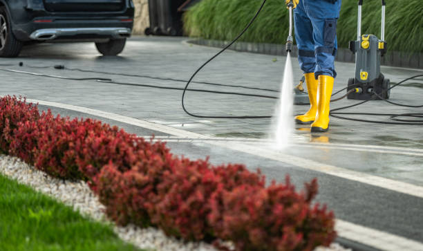 Best Roof Pressure Washing  in Crestwood, MO